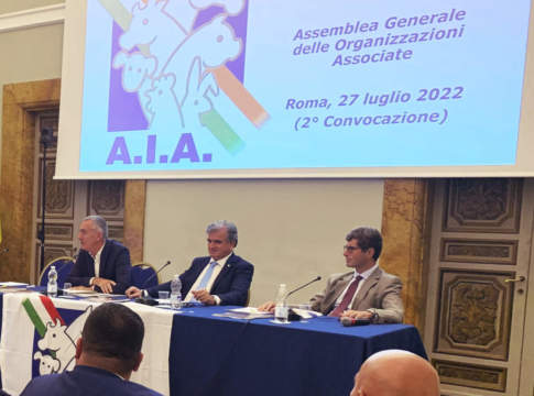 Aia