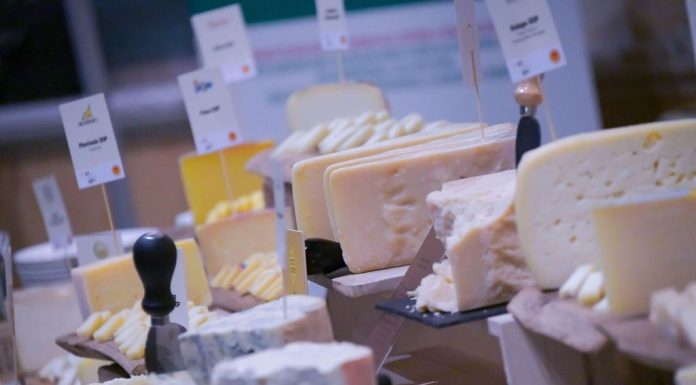 Assemblea Assolatte: Italia seconda potenza mondiale dell’export caseario nel 2025 export