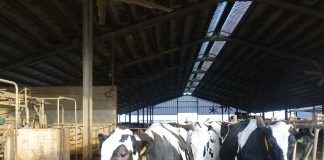 In arrivo un nuovo decreto sulla formazione degli operatori del settore zootecnico formazione