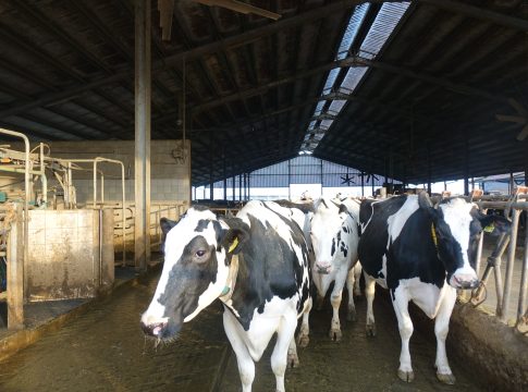 In arrivo un nuovo decreto sulla formazione degli operatori del settore zootecnico formazione