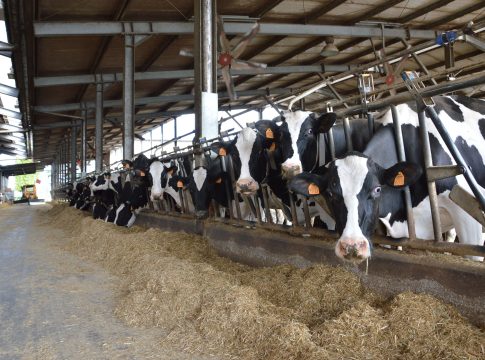 Verona, con Edagricole 4 convegni zootecnici Verona