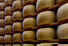 Progetto equilibrio, il Parmigiano Reggiano interviene a tutela della Dop