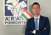 Dalmasso