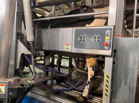 Fem, giornata sullo stato dell’arte della mungitura automatizzata mungitura