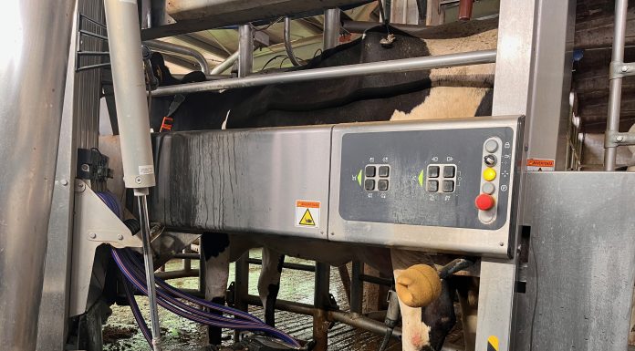 Fem, giornata sullo stato dell’arte della mungitura automatizzata mungitura