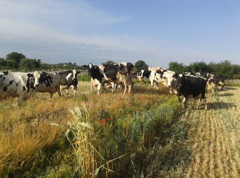 Agrilevante
