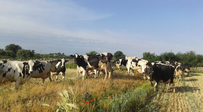 Agrilevante