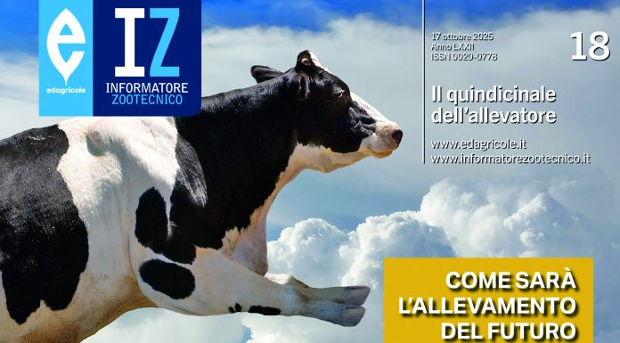 IZ 18