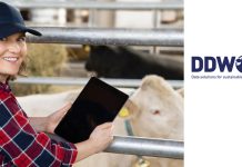 Big Data e AI, la rivoluzione sostenibile del settore lattiero-caseario lattiero caseario