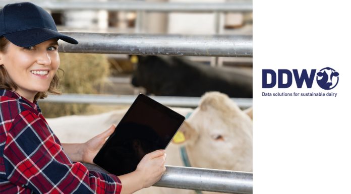 Big Data e AI, la rivoluzione sostenibile del settore lattiero-caseario lattiero caseario