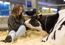 Cremona, attesi allevatori da tutto il mondo Cremona