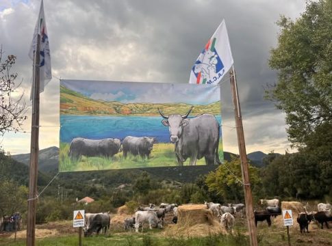 allevatori custodi