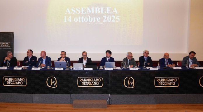 assemblea