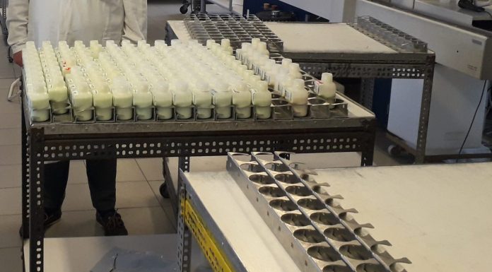 fiera di Montichiari