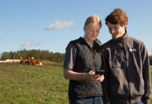Come portare la sostenibilità del caseificio ad un livello superiore con Milk Sustainability Center milk sustainability