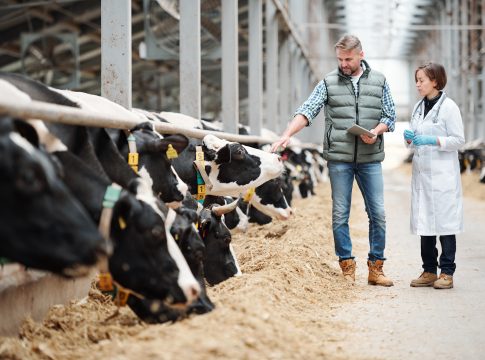 Il primo appuntamento alla fiera di Cremona: giovedì 27 novembre, ore 11.00 primo appuntamento