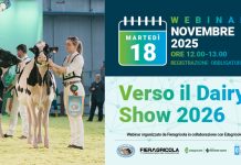 Webinar a Fieragricola martedì 18 novembre: “Verso il Dairy Show”