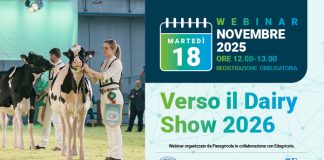 Webinar a Fieragricola martedì 18 novembre: “Verso il Dairy Show”