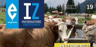 zootecnia di montagna