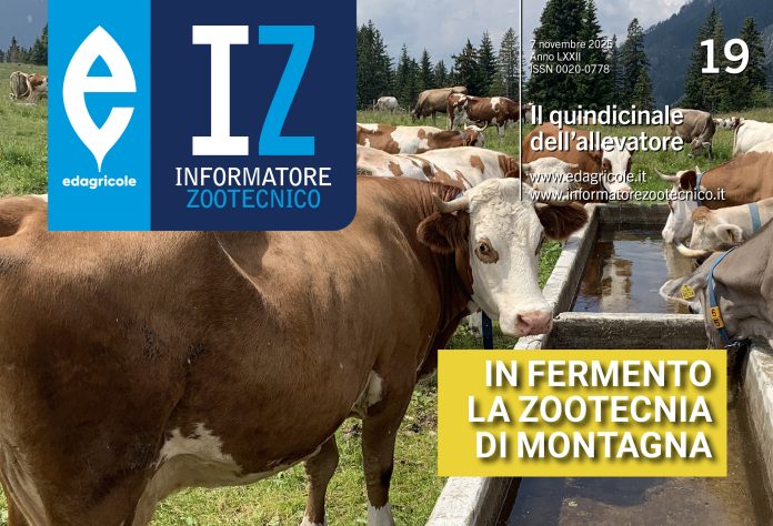 cover_19_2025_face zootecnia di montagna
