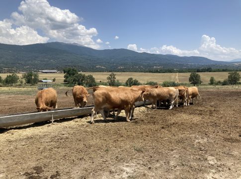 Zootecnia da carne nel secondo convegno IZ alla Fiera di Cremona il 28 novembre, ore 14 Zootecnia da carne