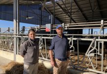 Dal secchio ai robot, un salto nel digitale digitale