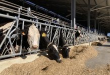 Progeo alla Fiera di Cremona con la Linea di nuclei MQ+