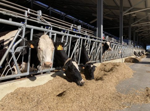 Progeo alla Fiera di Cremona con la Linea di nuclei MQ+