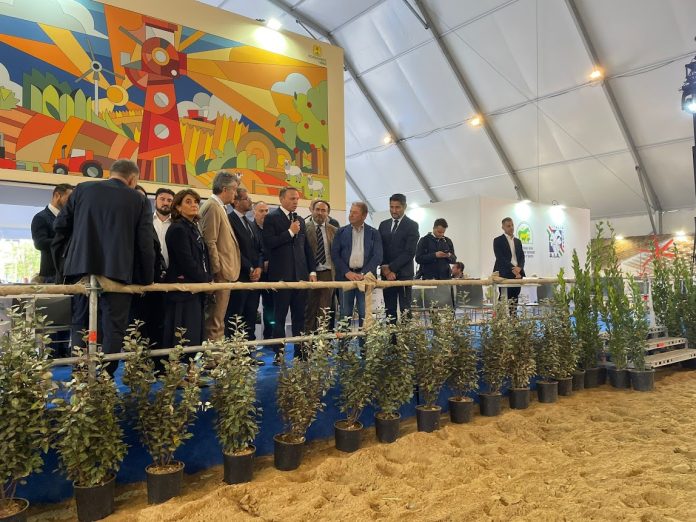 aia_informa_21_2025_articoloB_foto1