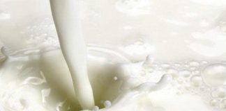 Latte spot, il 2025 chiude con valori in picchiata, non solo in Italia