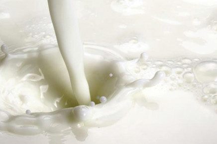 Latte spot, il 2025 chiude con valori in picchiata, non solo in Italia