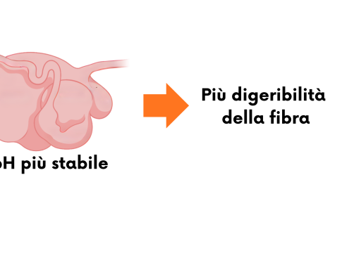 Mangimi liquidi per un rumine stabile mangimi liquidi