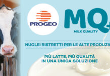 linea MQ Progeo