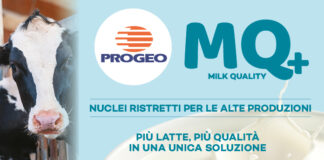 Linea MQ+: nuclei ristretti per vacche da latte linea MQ Progeo