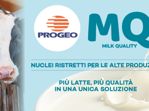 linea MQ Progeo