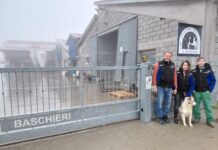 Azienda Baschieri: Allevatore dell’Anno 2025 per la categoria “bovini da latte – montagna” Allevatore dell'Anno 2025