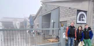 Allevatore dell'Anno 2025