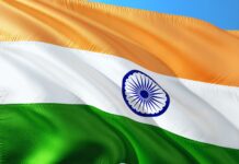 Accordo India-Ue, restano protetti carne e latte in povere India