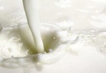 Bmti prezzi, ancora su il latte spot e il burro, giù bovini e suini. Stabili i formaggi latte