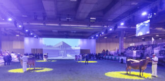 Fieragricola, bilancio tutto positivo per il Dairy Show Dairy Show