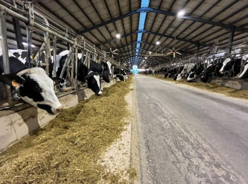 Zootecnia al bivio, 65 miliardi a rischio zootecnia