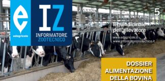 alimentazione bovina
