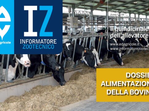 alimentazione bovina