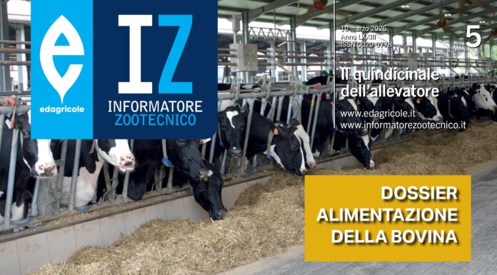 alimentazione bovina