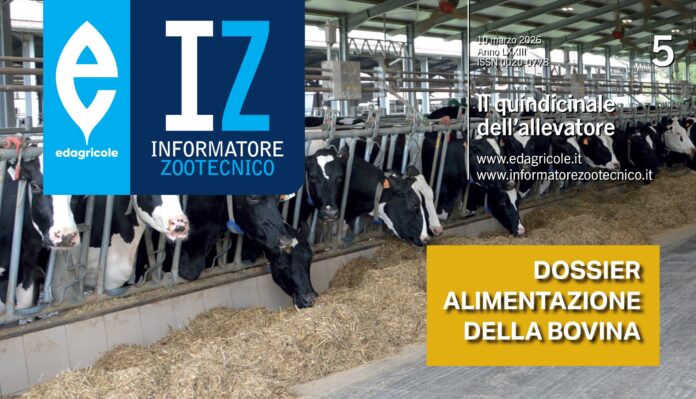 alimentazione bovina