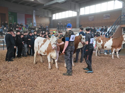 Pezzata Rossa italiana