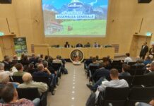 Latte Trento