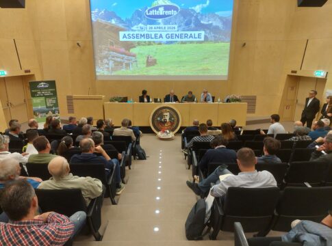 Latte Trento