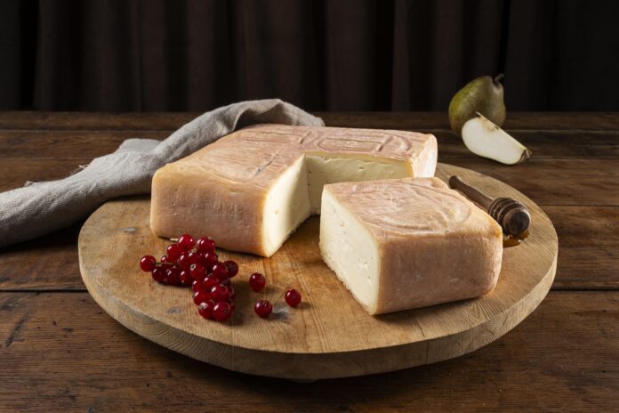 Taleggio