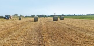 Fabrizio Ruozzi, Crpa: nel far fieno privilegiamo la qualità